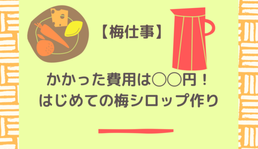 【梅仕事】初めての梅シロップ作りにかかった費用＆材料は？